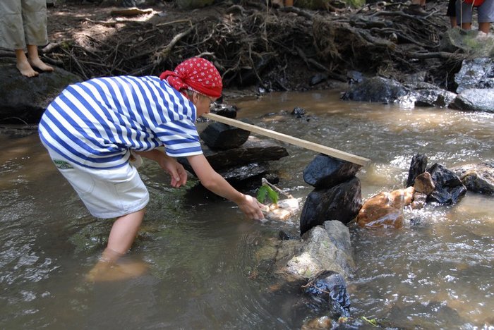 2006 tabor Attis Calypso 45